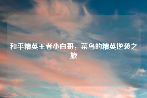 和平精英王者小白哥，菜鸟的精英逆袭之旅