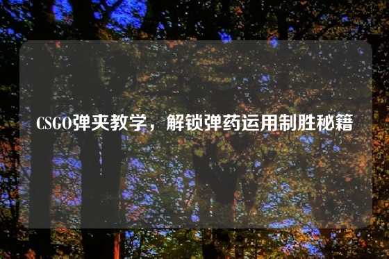 CSGO弹夹教学，解锁弹药运用制胜秘籍
