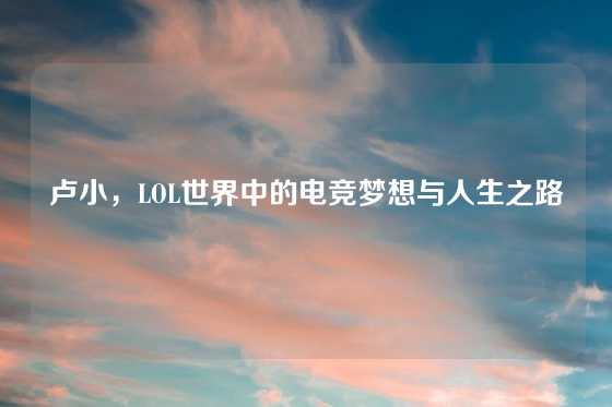 卢小，LOL世界中的电竞梦想与人生之路
