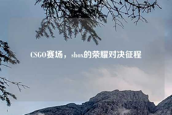 CSGO赛场，shox的荣耀对决征程