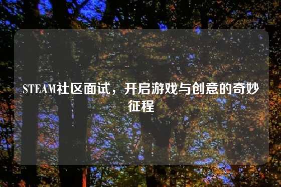 STEAM社区面试，开启游戏与创意的奇妙征程