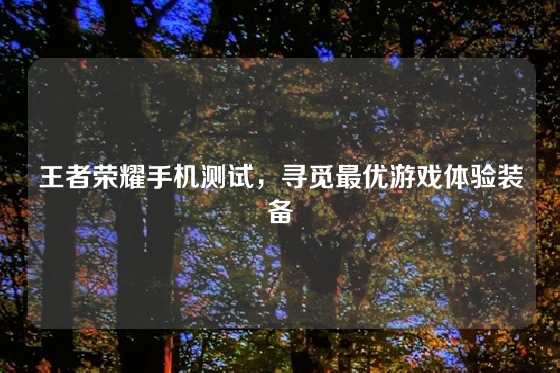 王者荣耀手机测试，寻觅最优游戏体验装备