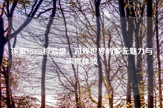 探索Steam检验盘，游戏世界的多元魅力与深度体验