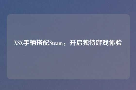 XSX手柄搭配Steam，开启独特游戏体验