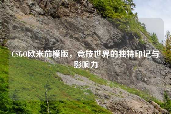 CSGO欧米茄模版，竞技世界的独特印记与影响力