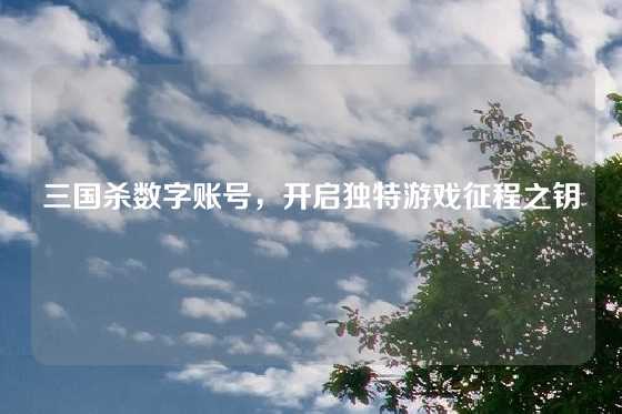 三国杀数字账号，开启独特游戏征程之钥