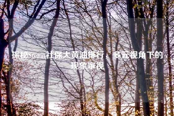 探秘Steam社保大黄油排行，多元视角下的现象审视