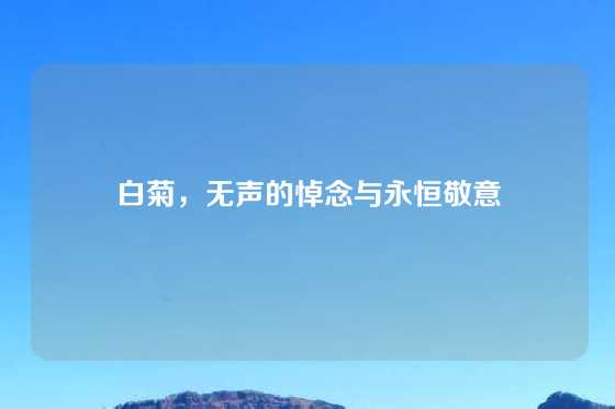 白菊，无声的悼念与永恒敬意