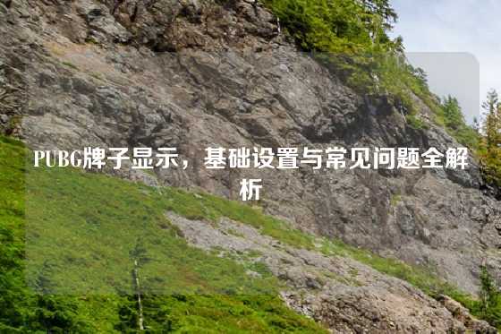PUBG牌子显示，基础设置与常见问题全解析