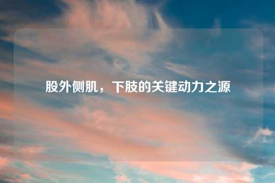 股外侧肌，下肢的关键动力之源