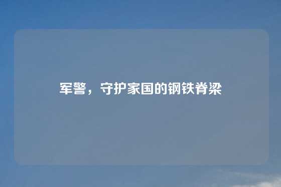 军警，守护家国的钢铁脊梁