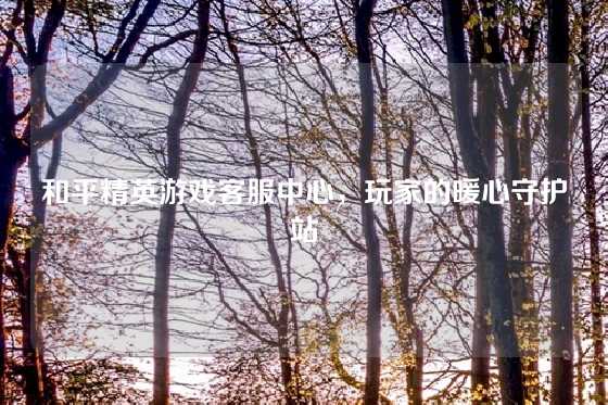 和平精英游戏客服中心，玩家的暖心守护站