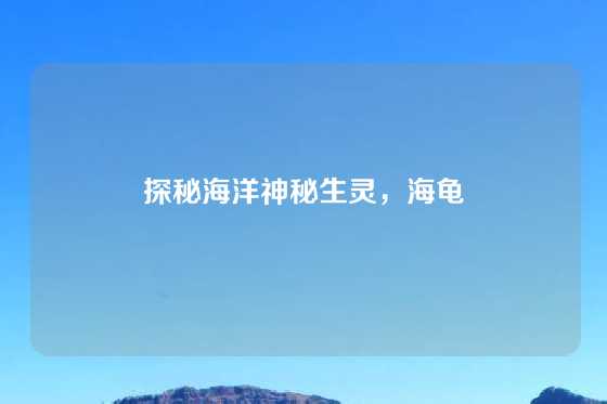 探秘海洋神秘生灵，海龟