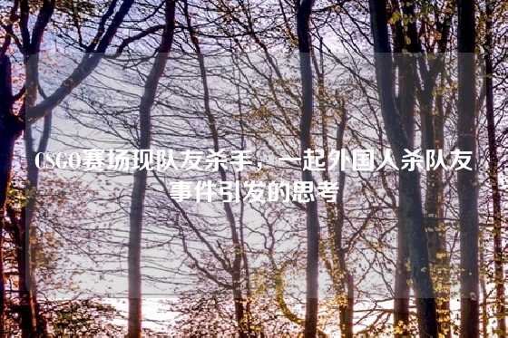 CSGO赛场现队友杀手，一起外国人杀队友事件引发的思考
