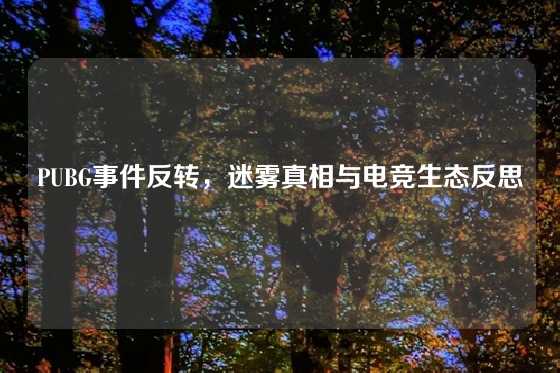 PUBG事件反转，迷雾真相与电竞生态反思