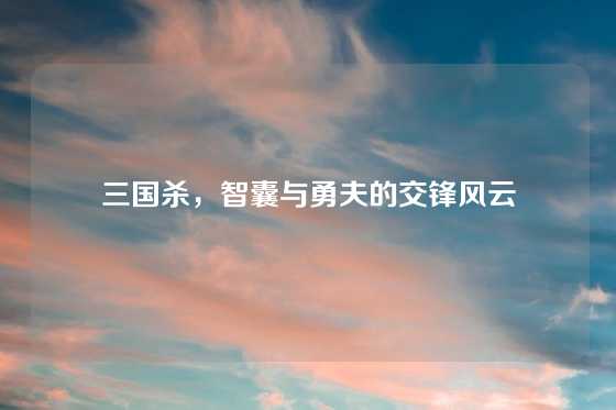 三国杀，智囊与勇夫的交锋风云