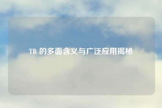 TB 的多面含义与广泛应用揭秘