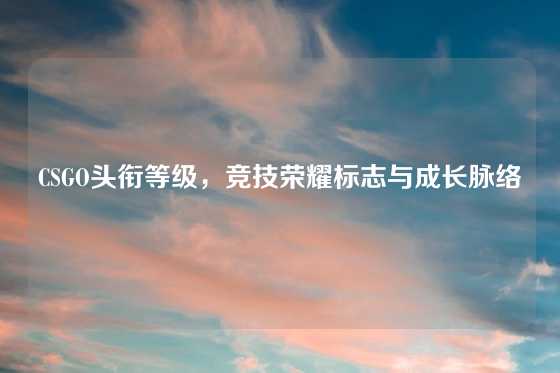 CSGO头衔等级，竞技荣耀标志与成长脉络