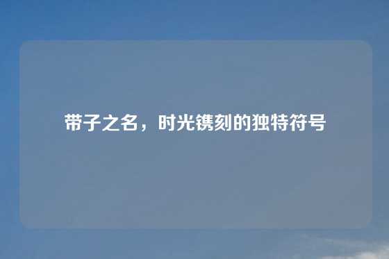 带子之名，时光镌刻的独特符号