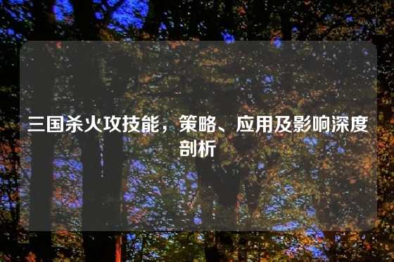 三国杀火攻技能，策略、应用及影响深度剖析