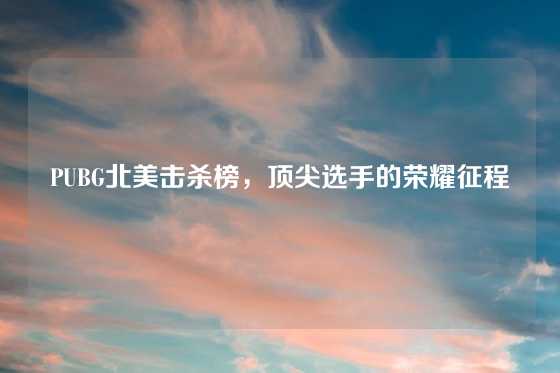 PUBG北美击杀榜，顶尖选手的荣耀征程