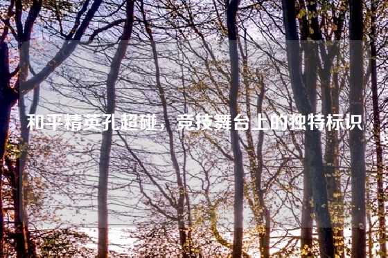 和平精英孔超碰，竞技舞台上的独特标识
