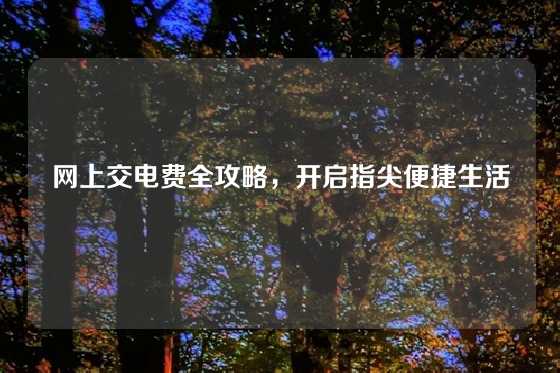 网上交电费全攻略，开启指尖便捷生活