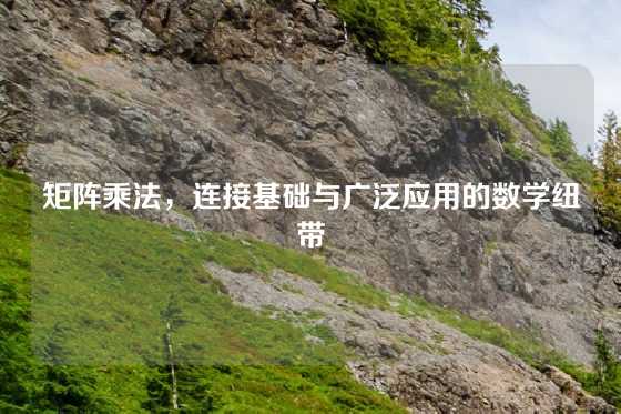 矩阵乘法，连接基础与广泛应用的数学纽带