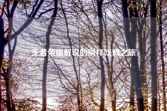 王者荣耀解说的别样吃鸡之旅