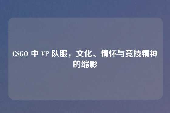 CSGO 中 VP 队服，文化、情怀与竞技精神的缩影