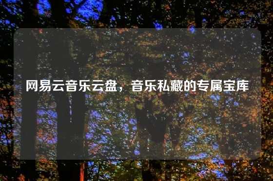 网易云音乐云盘，音乐私藏的专属宝库