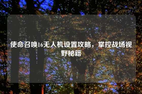 使命召唤16无人机设置攻略，掌控战场视野秘籍