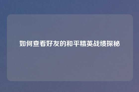 如何查看好友的和平精英战绩探秘