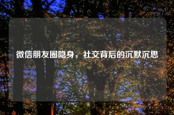 微信朋友圈隐身，社交背后的沉默沉思
