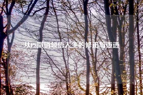 从PS撤销领悟人生的修正与迈进