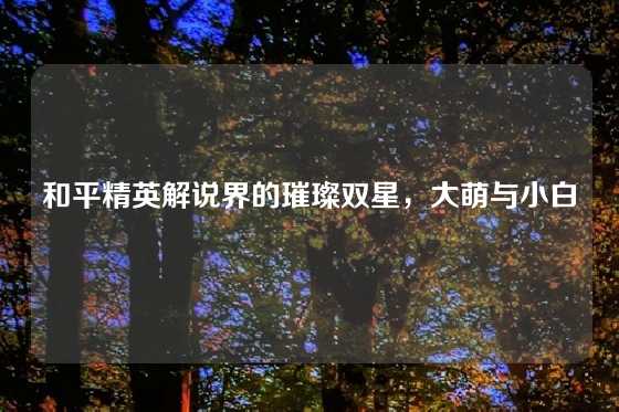 和平精英解说界的璀璨双星，大萌与小白