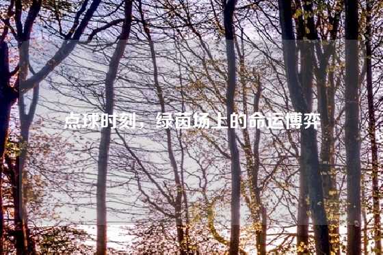 点球时刻，绿茵场上的命运博弈