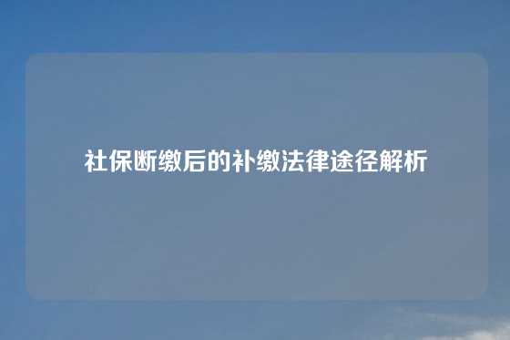 社保断缴后的补缴法律途径解析