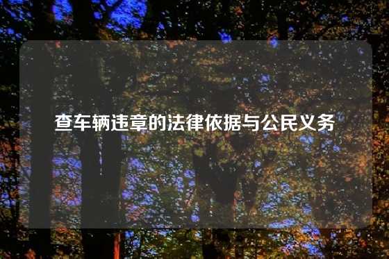 查车辆违章的法律依据与公民义务