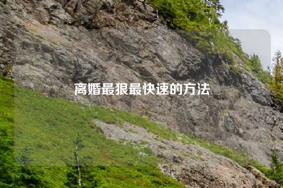 离婚最狠最快速的方法