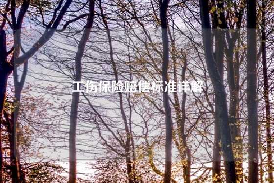 工伤保险赔偿标准详解