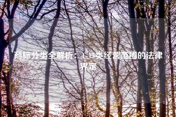商标分类全解析：1-45类经营范围的法律界定