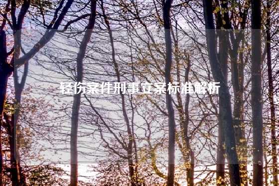 轻伤案件刑事立案标准解析