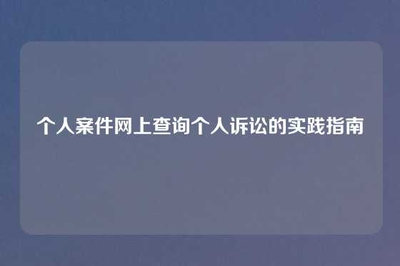 个人案件网上查询个人诉讼的实践指南