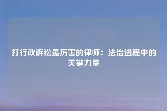 打行政诉讼最厉害的律师：法治进程中的关键力量