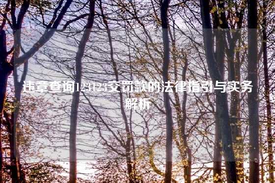 违章查询123123交罚款的法律指引与实务解析