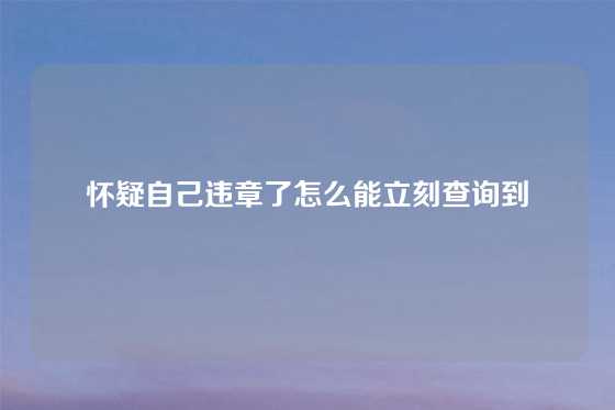 怀疑自己违章了怎么能立刻查询到