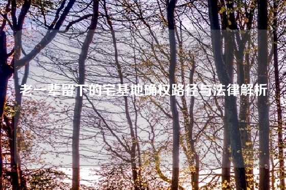 老一辈留下的宅基地确权路径与法律解析