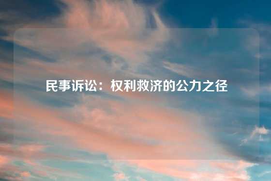 民事诉讼：权利救济的公力之径