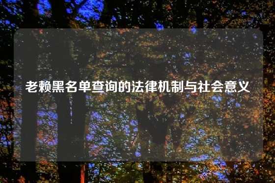 老赖黑名单查询的法律机制与社会意义